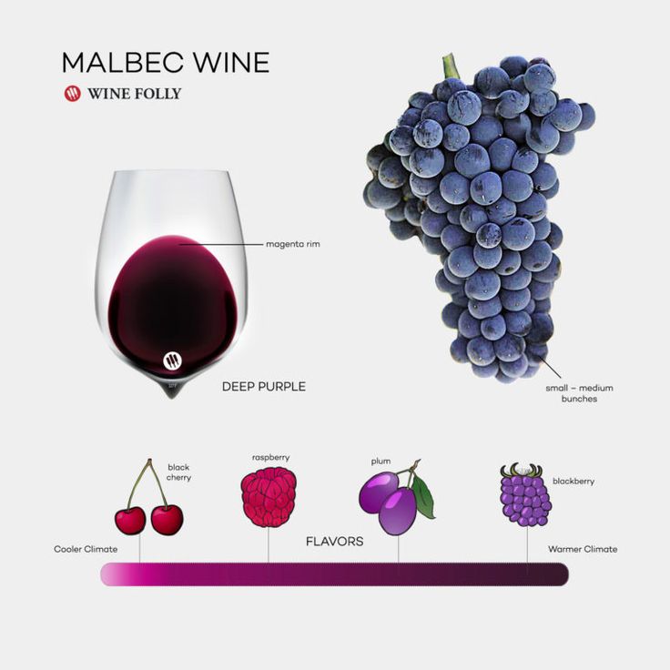 LA GRAN NOCHE DEL MALBEC